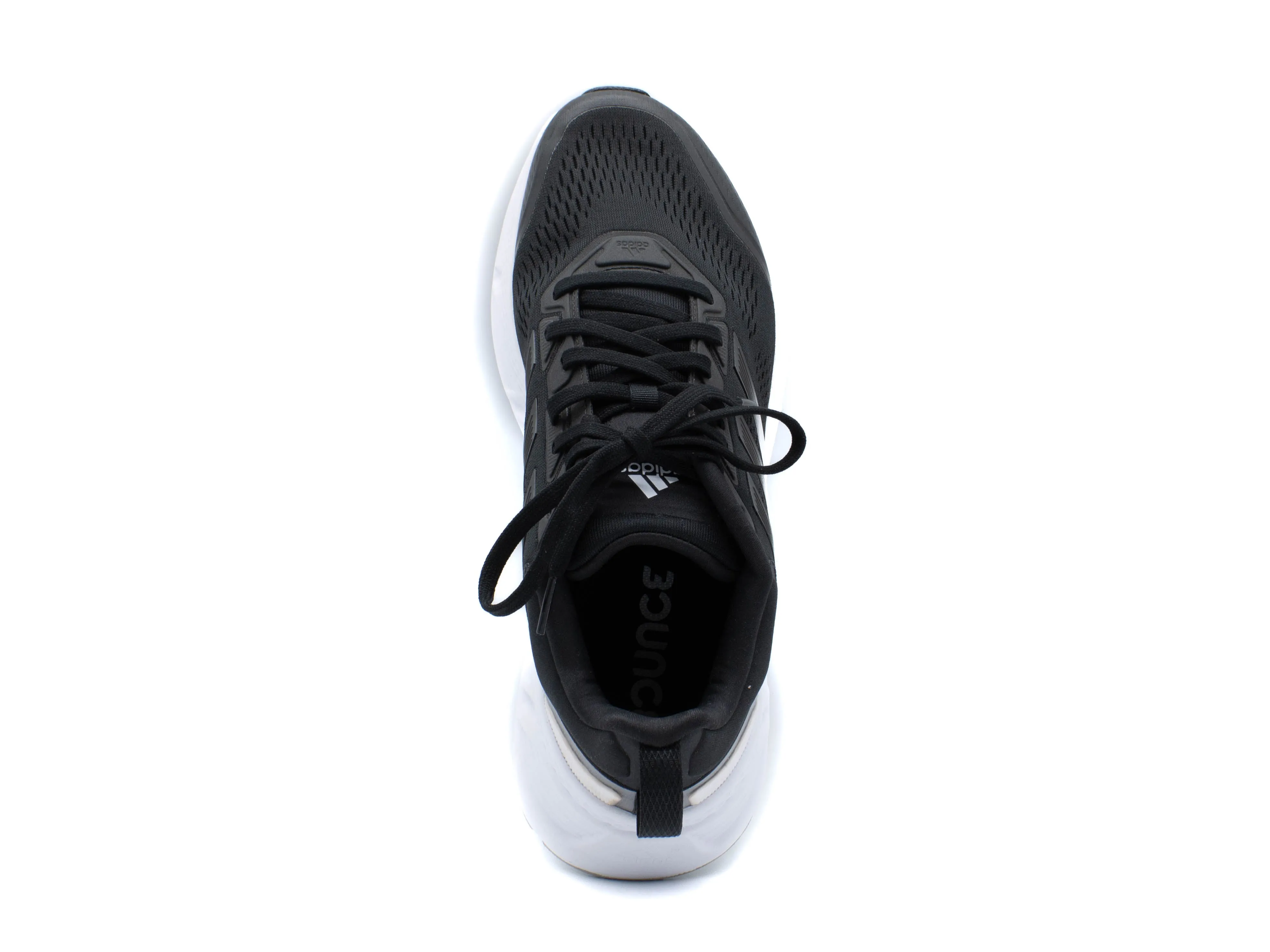 ADIDAS Questar Sneakers Adidas Schuhe