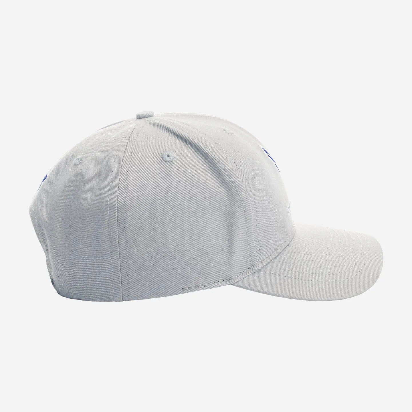 Air Force Structured Cap - One Size