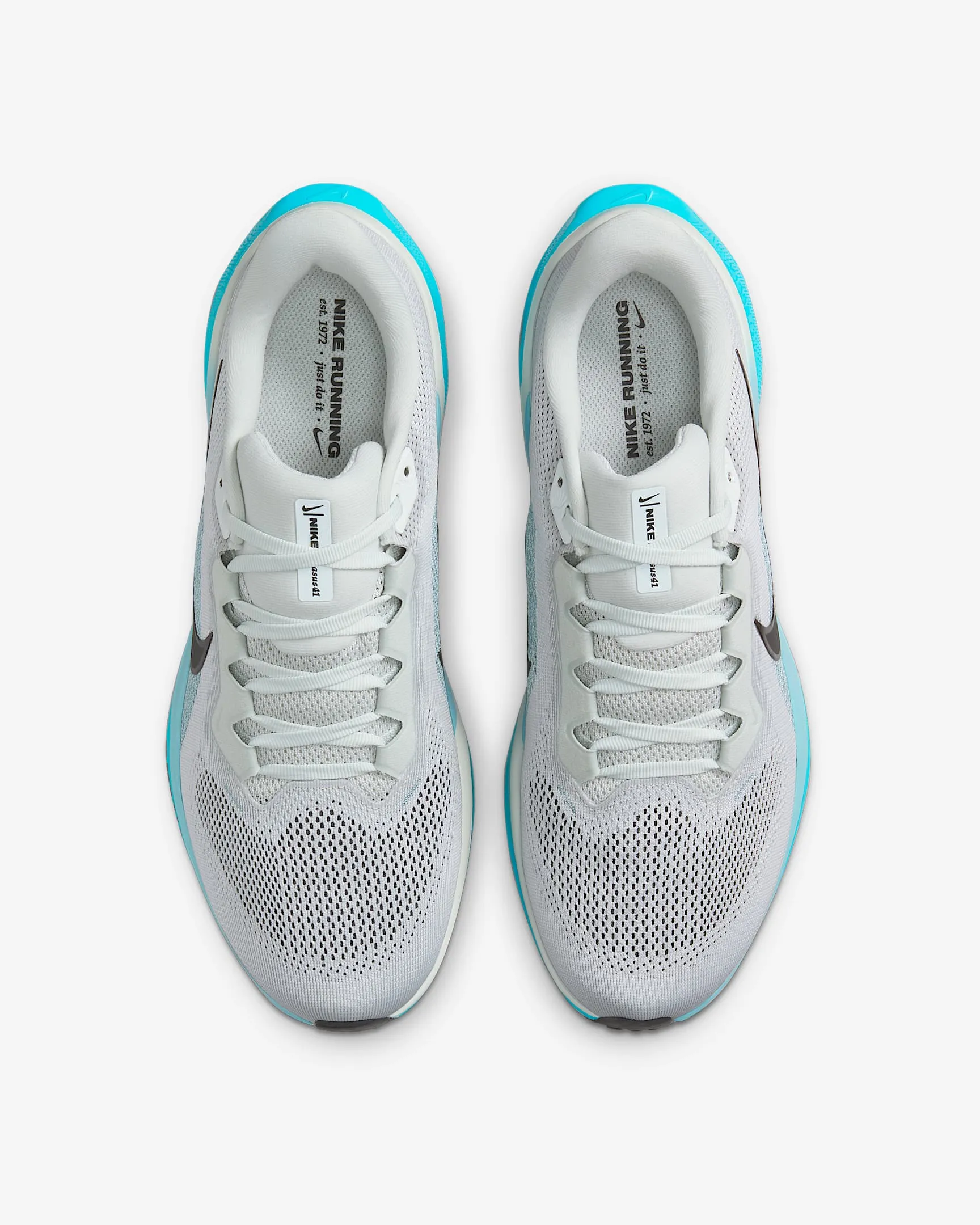 Air Zoom Pegasus 41
