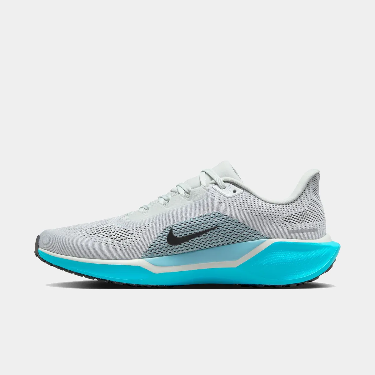 Air Zoom Pegasus 41