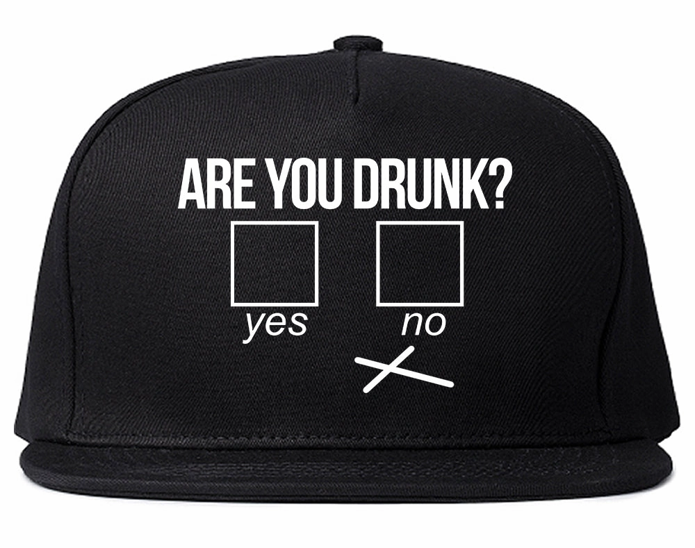 Are You Drunk Funny Beer Drinking Party Mens Snapback Hat