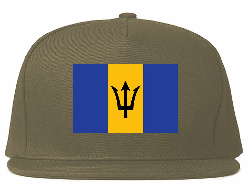Barbados Flag Country Printed Snapback Hat Cap