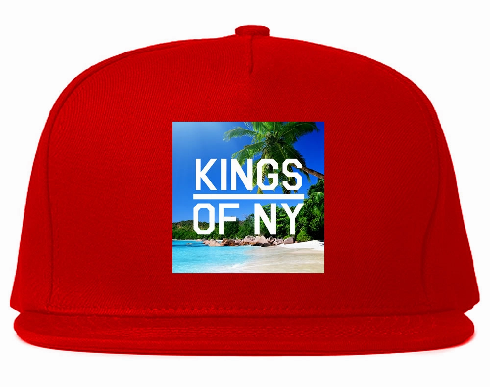 Beach Vacation Box Logo Mens Snapback Hat