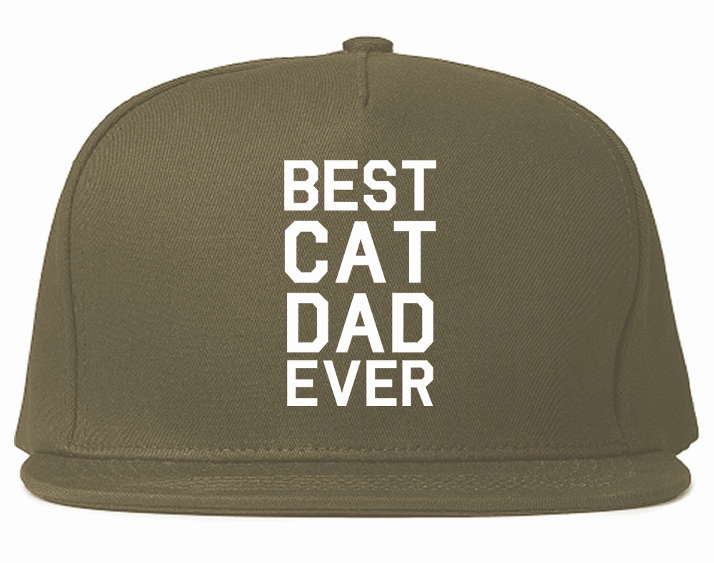 Best Cat Dad Ever Mens Snapback Hat