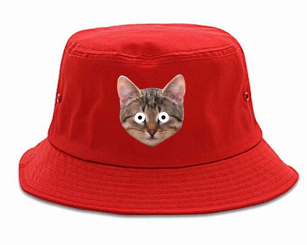 Cats Crazy Kittens Bucket Hat