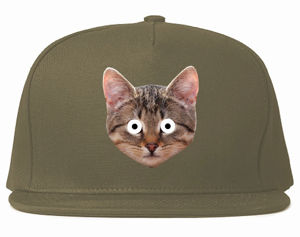 Cats Crazy Kittens Snapback Hat