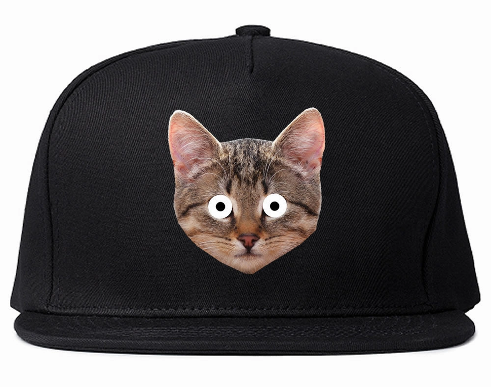 Cats Crazy Kittens Snapback Hat