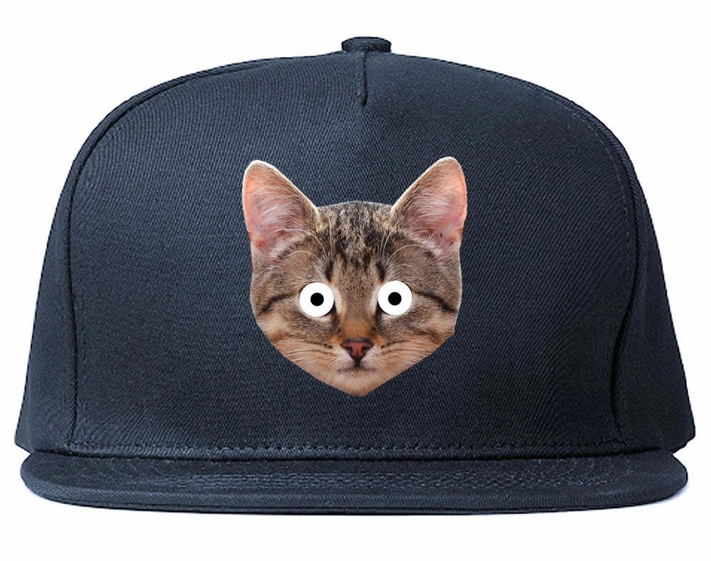 Cats Crazy Kittens Snapback Hat