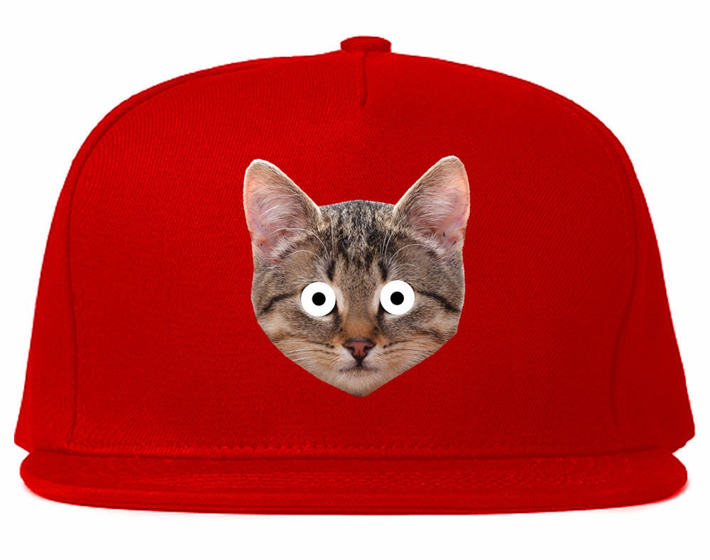 Cats Crazy Kittens Snapback Hat