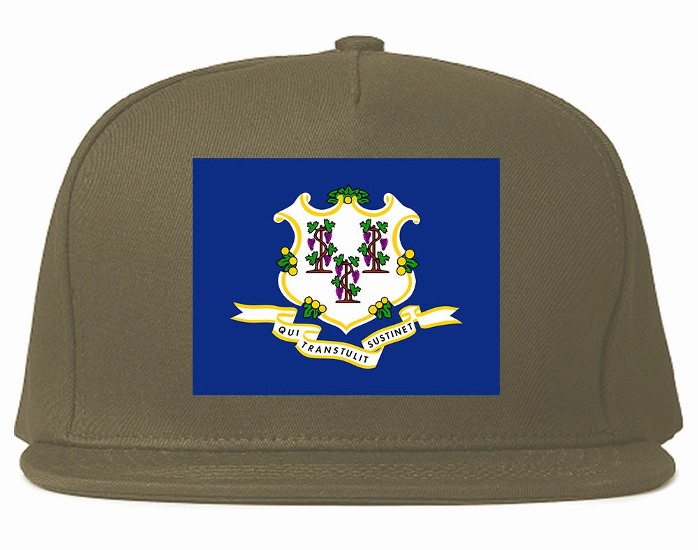 Connecticut State Flag CT Chest Mens Snapback Hat