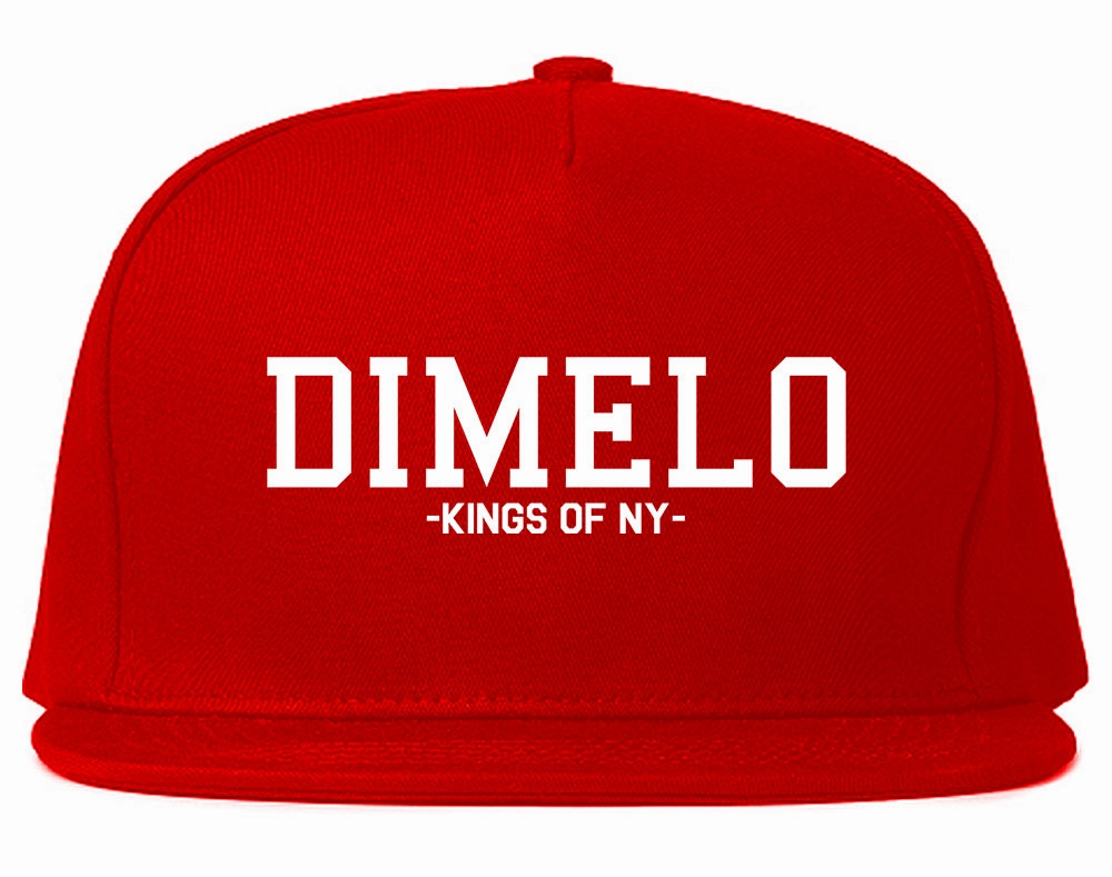 Dimelo Kings Of NY Snapback Hat