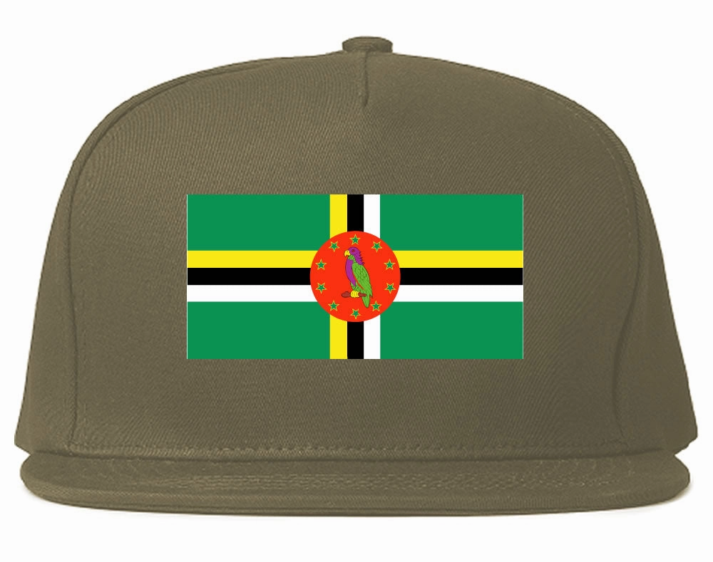 Dominica Flag Country Printed Snapback Hat Cap
