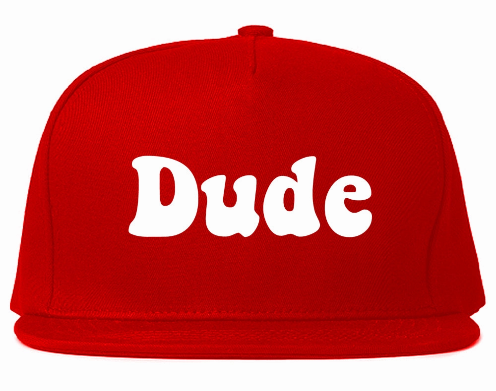 Dude 70s Mens Snapback Hat