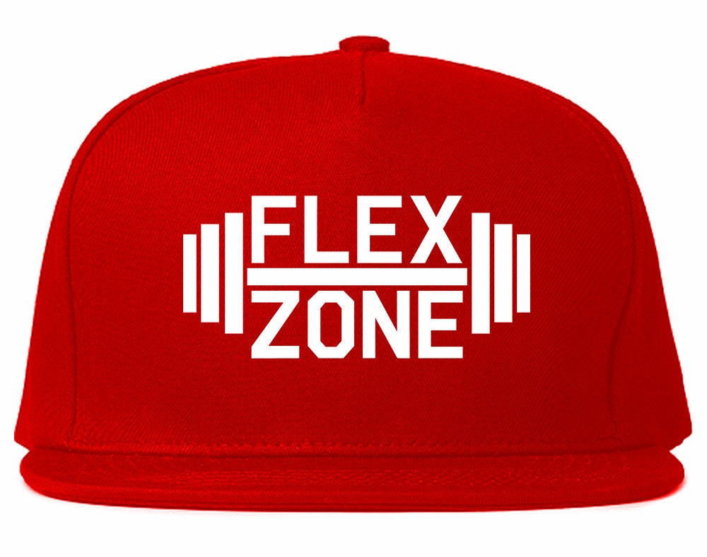 Flex Zone Fitness Gym Mens Snapback Hat