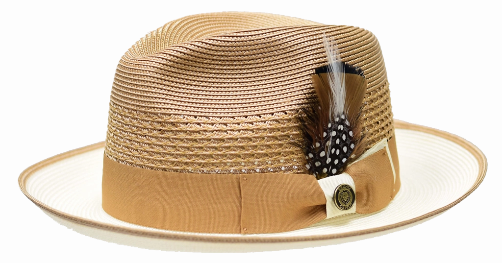 Havana Collection
