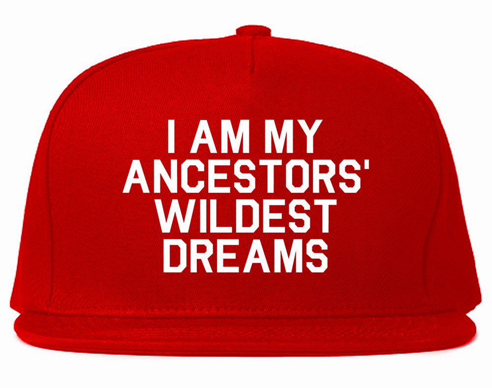 I Am My Ancestors Wildest Dreams Mens Snapback Hat