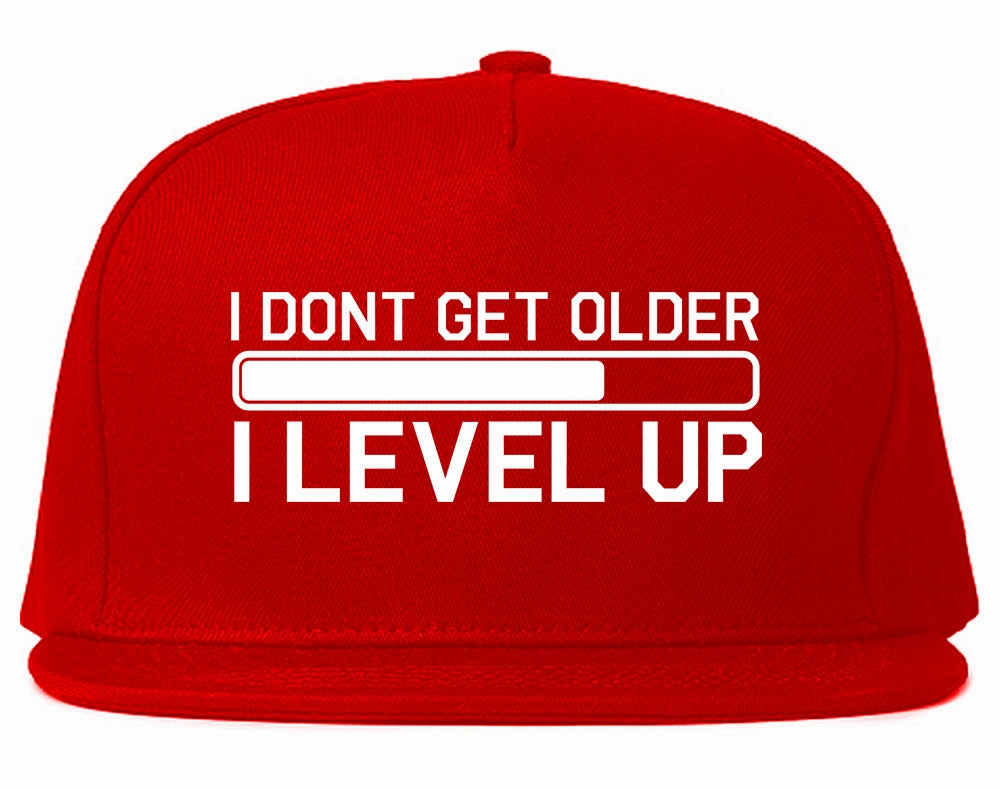 I Dont Get Older I Level Up Funny Birthday Mens Snapback Hat