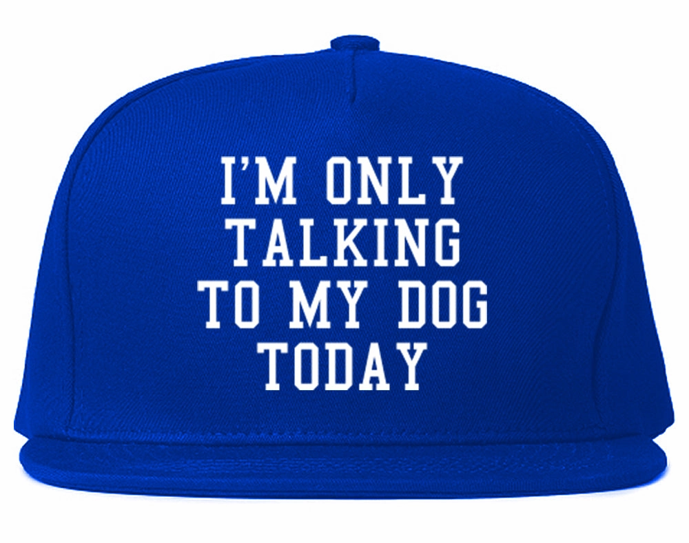 Im Only Talking To My Dog Today Mens Snapback Hat
