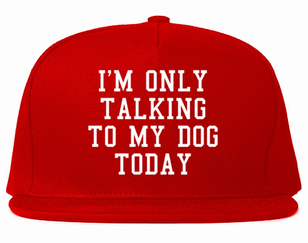 Im Only Talking To My Dog Today Mens Snapback Hat