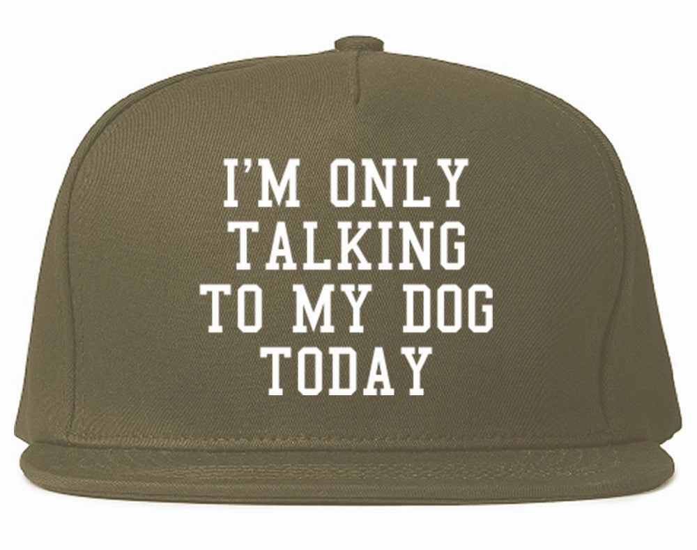 Im Only Talking To My Dog Today Mens Snapback Hat