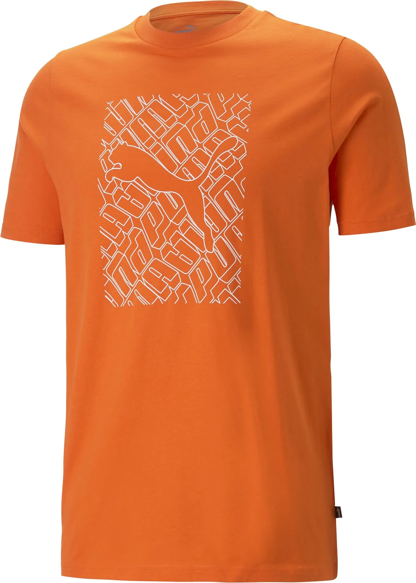 Herren Grafik Katzen T-Shirt
