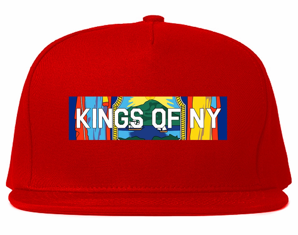 New York Flag Box Logo Mens Snapback Hat