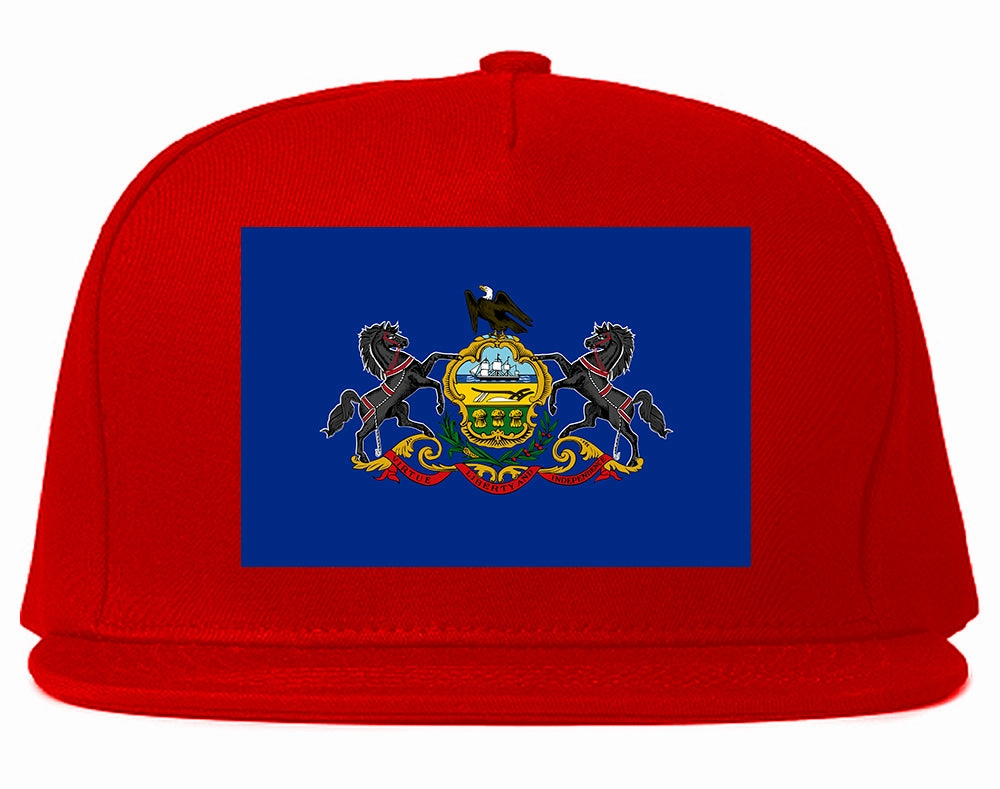 Pennsylvania State Flag PA Chest Mens Snapback Hat