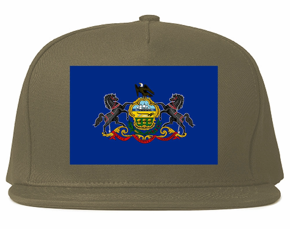 Pennsylvania State Flag PA Chest Mens Snapback Hat