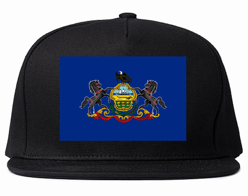 Pennsylvania State Flag PA Chest Mens Snapback Hat