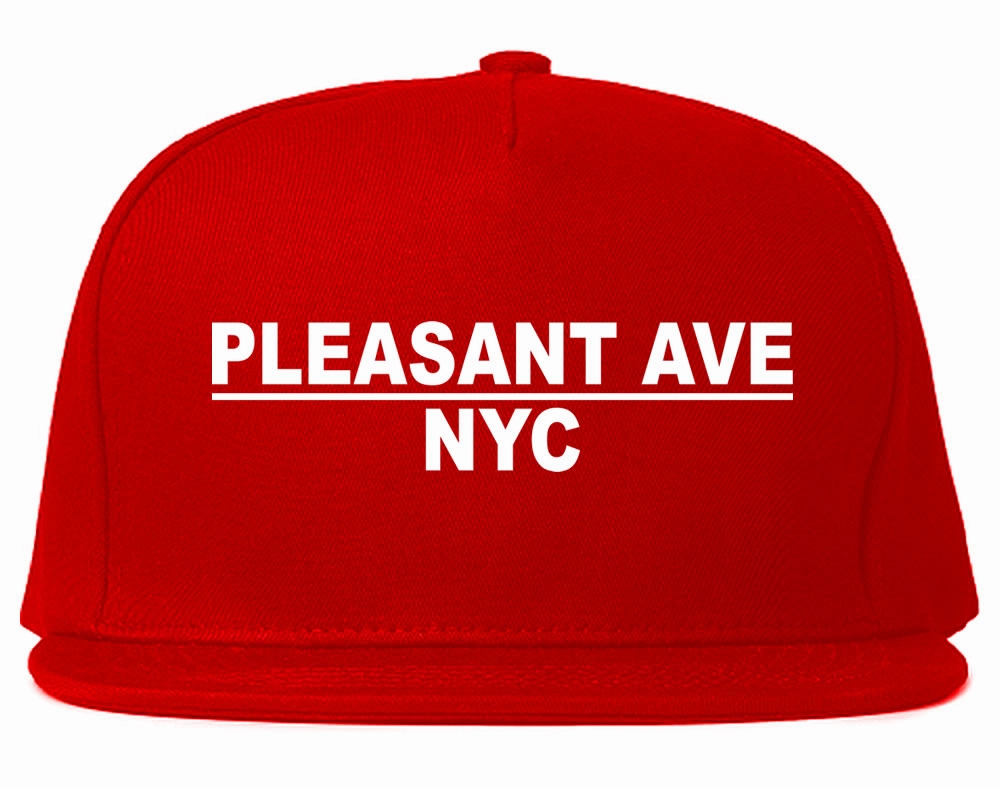 Pleasant Ave NYC New York Mens Snapback Hat