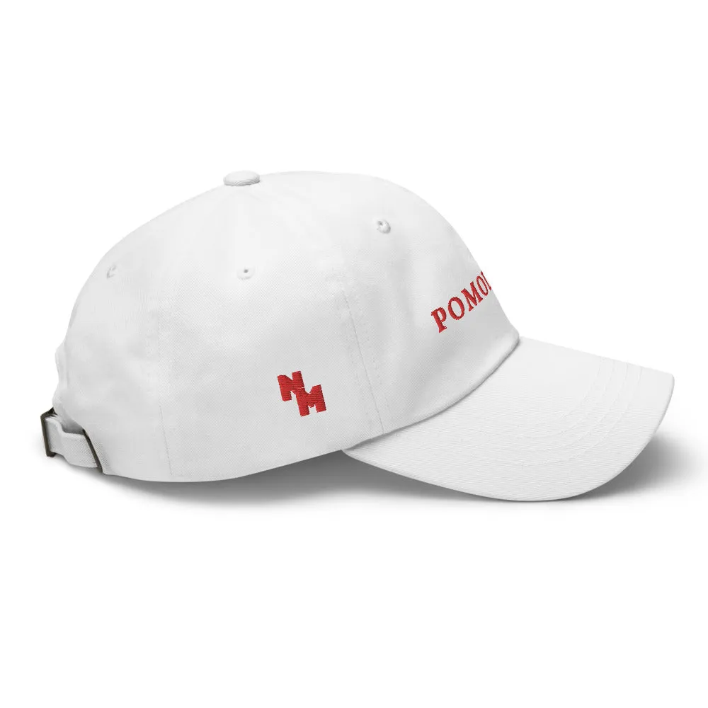 Pomodoro Dad Cap