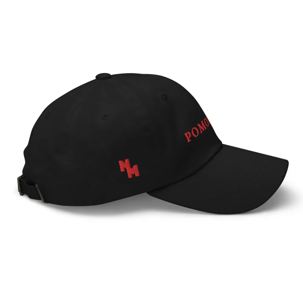 Pomodoro Dad Cap