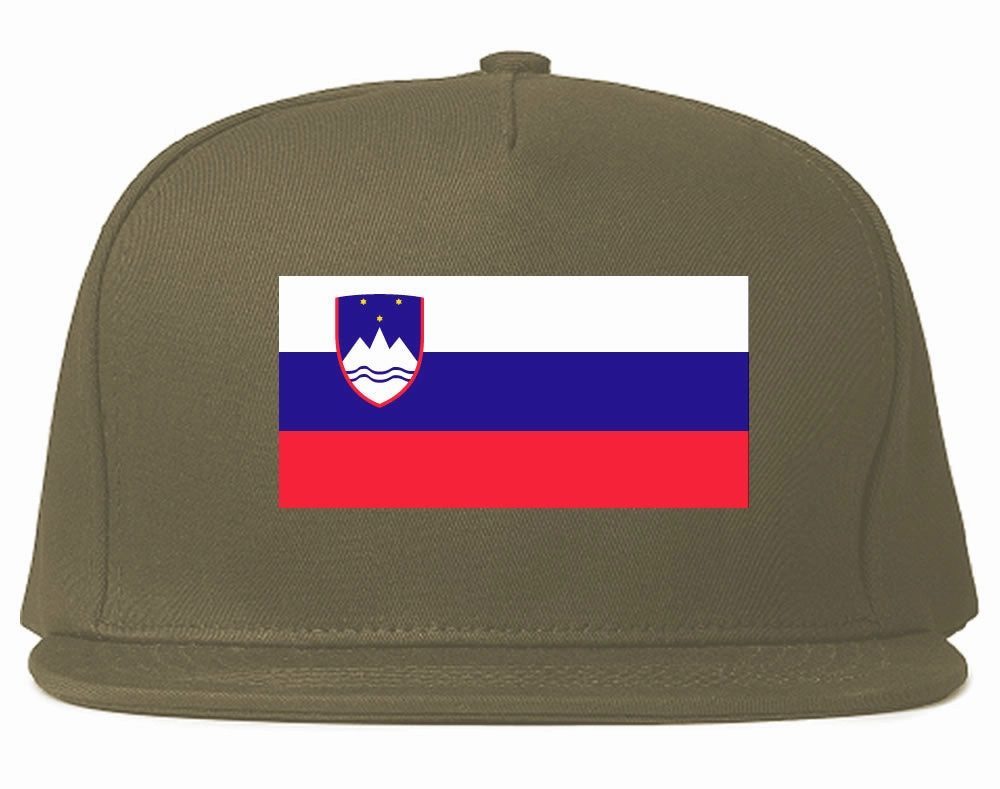 Slovenia Flag Country Printed Snapback Hat Cap