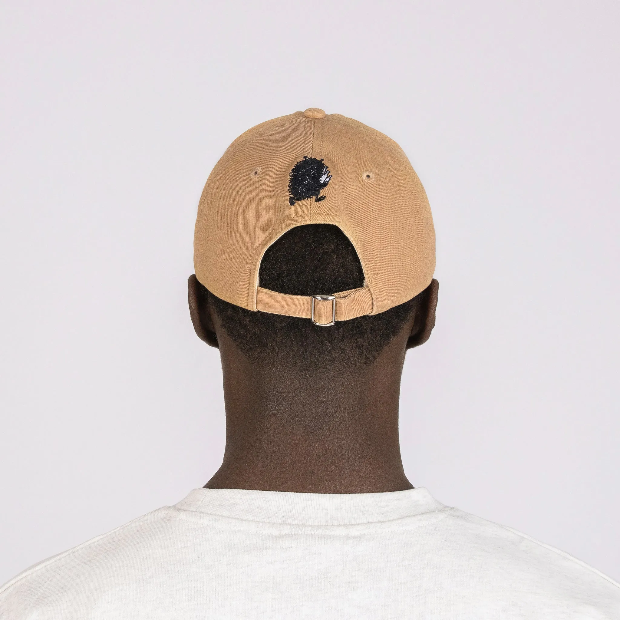 Stinky Dad Cap