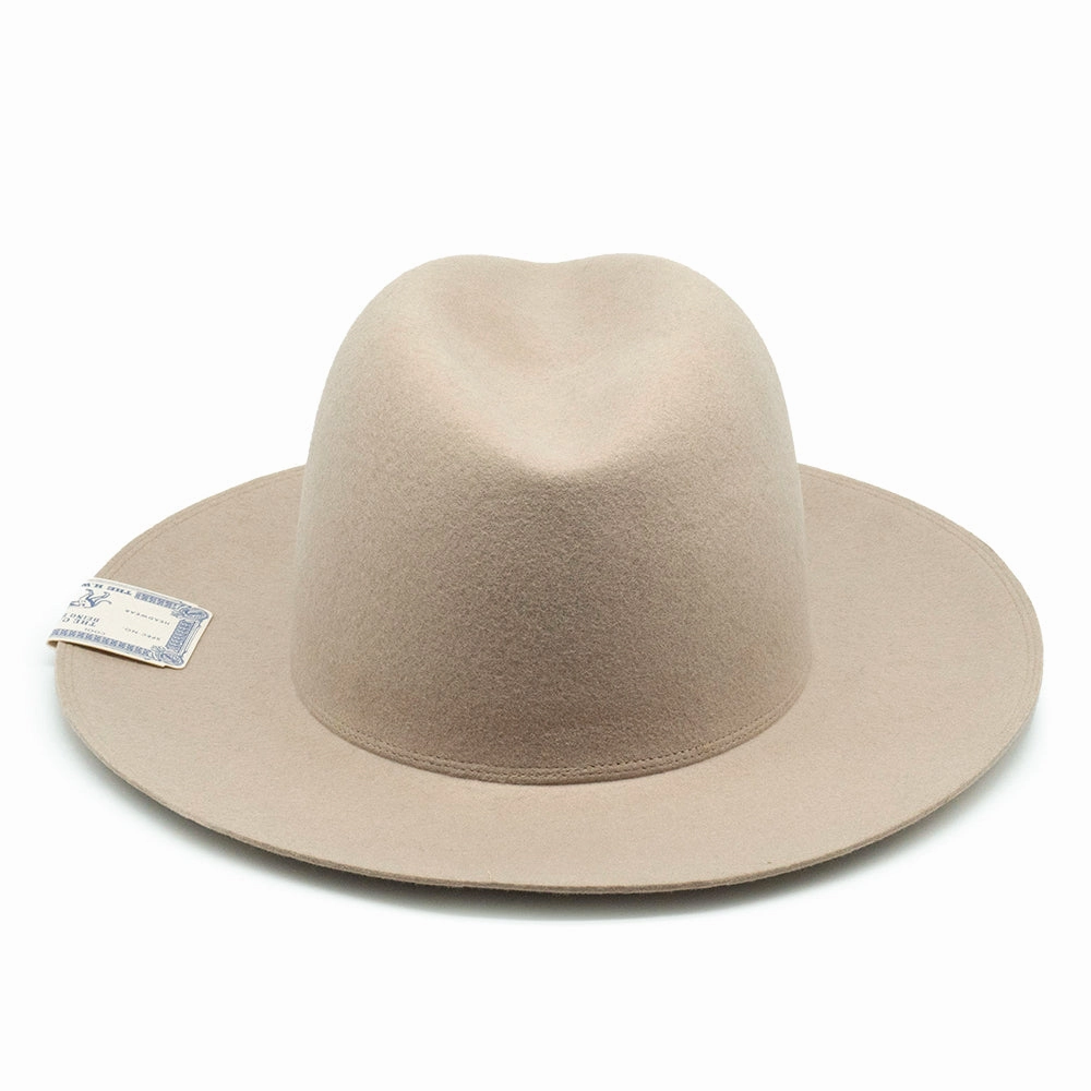 TRAVELERS HAT
