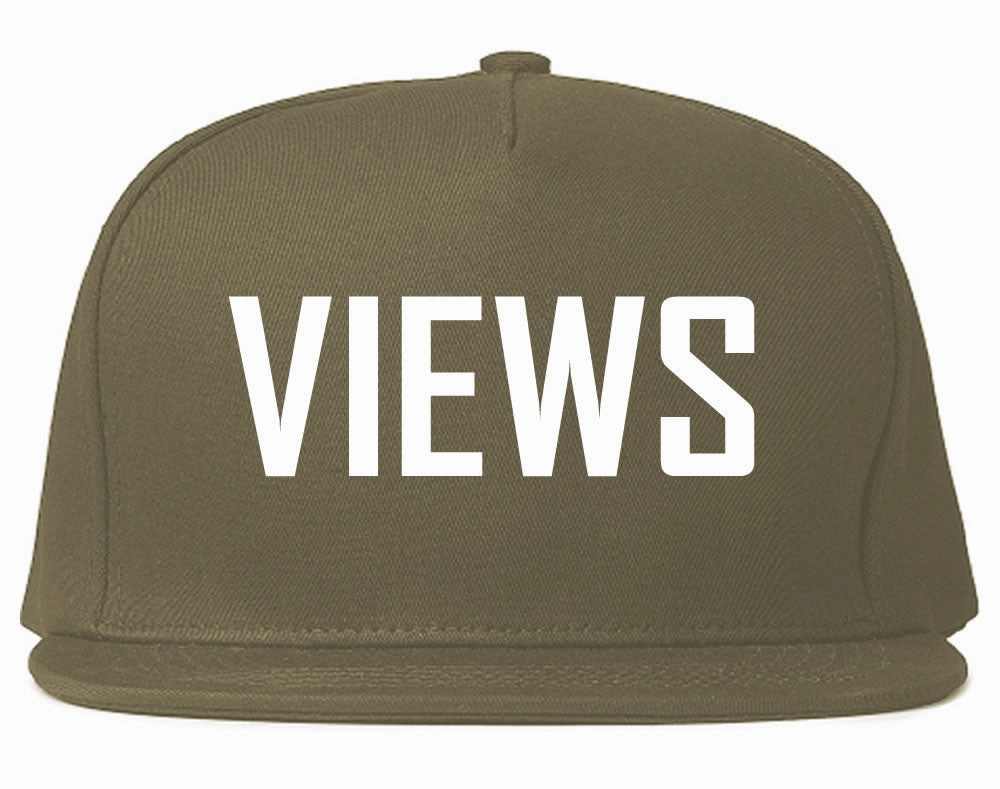 Views Snapback Hat