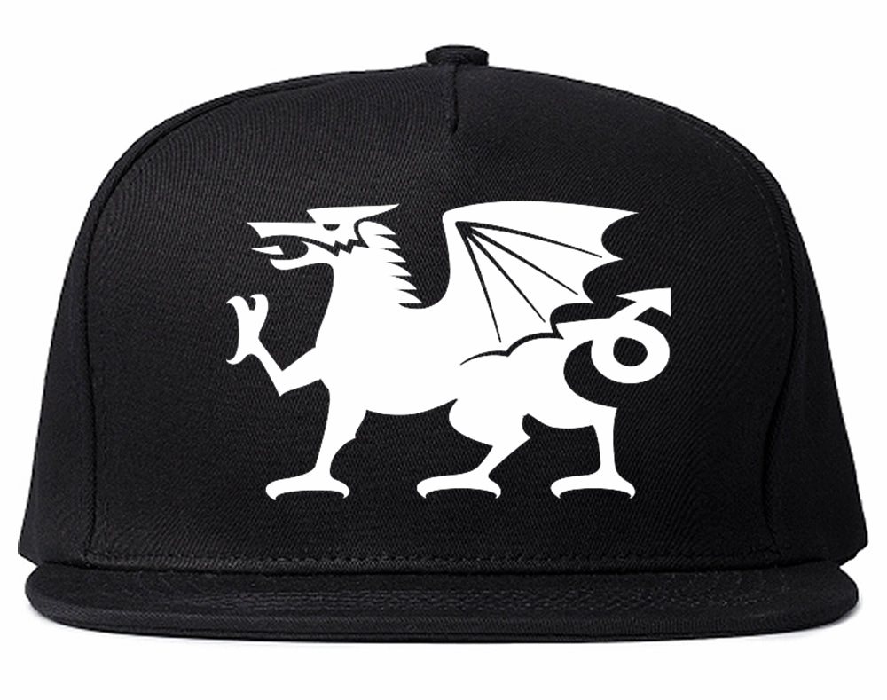 Wales Flag Dragon Symbol Mens Snapback Hat