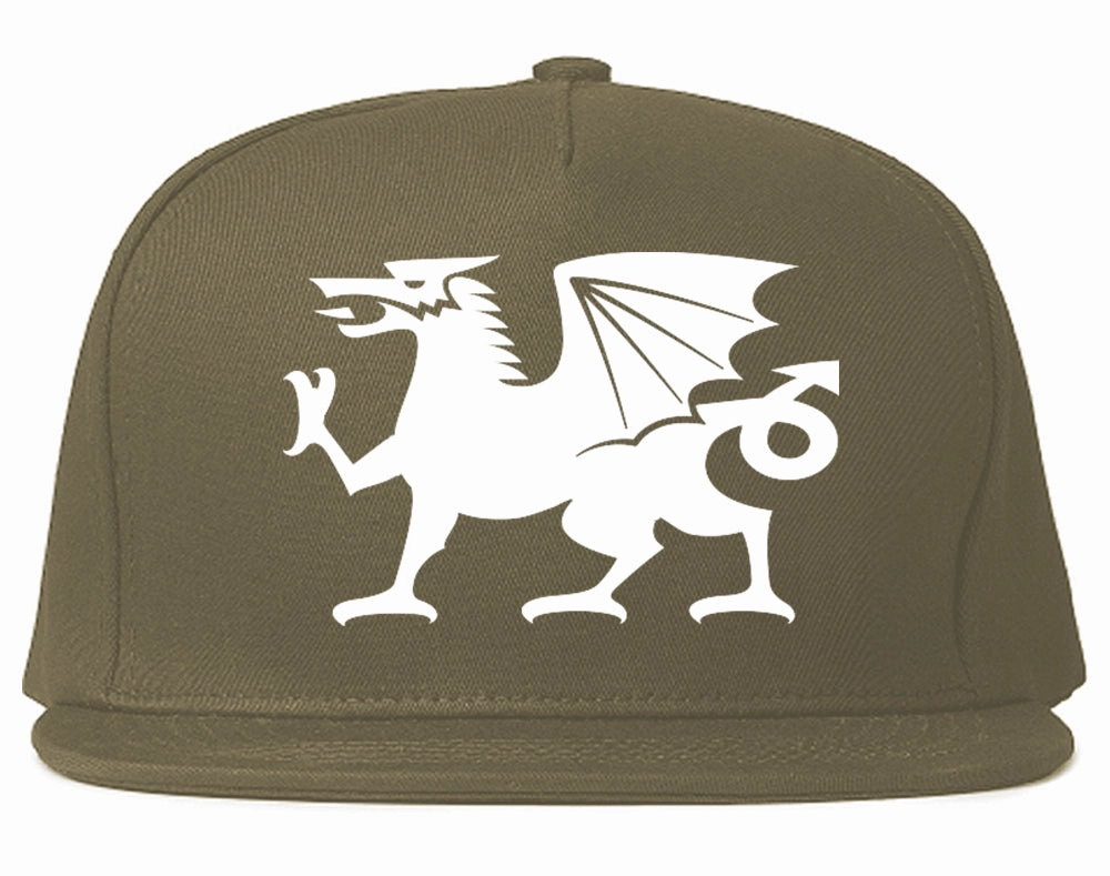 Wales Flag Dragon Symbol Mens Snapback Hat