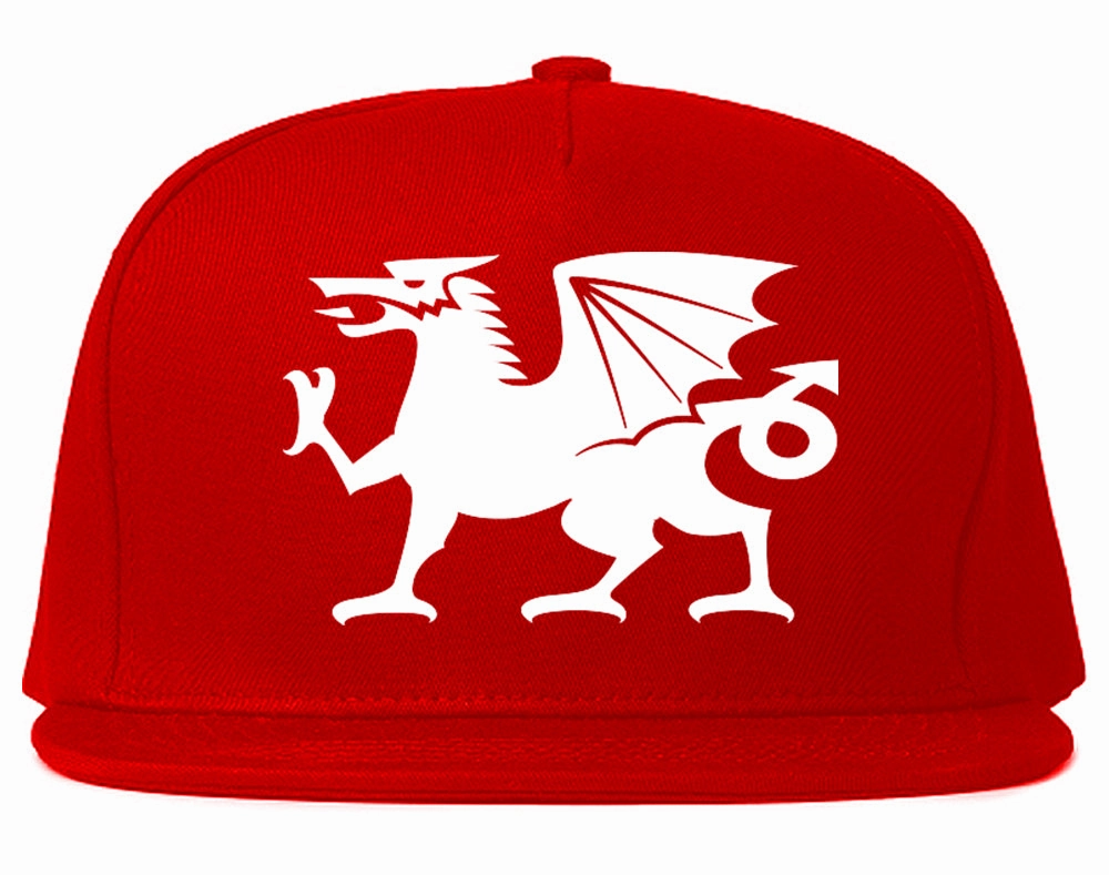 Wales Flag Dragon Symbol Mens Snapback Hat